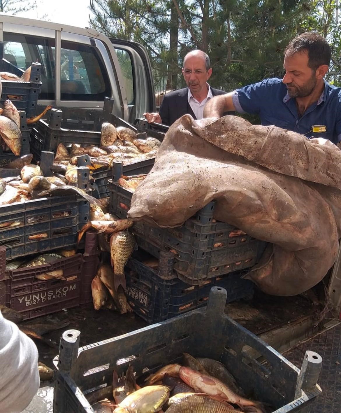 Elazığ’da kaçak avlanan 700 kilogram balık ele geçirildi