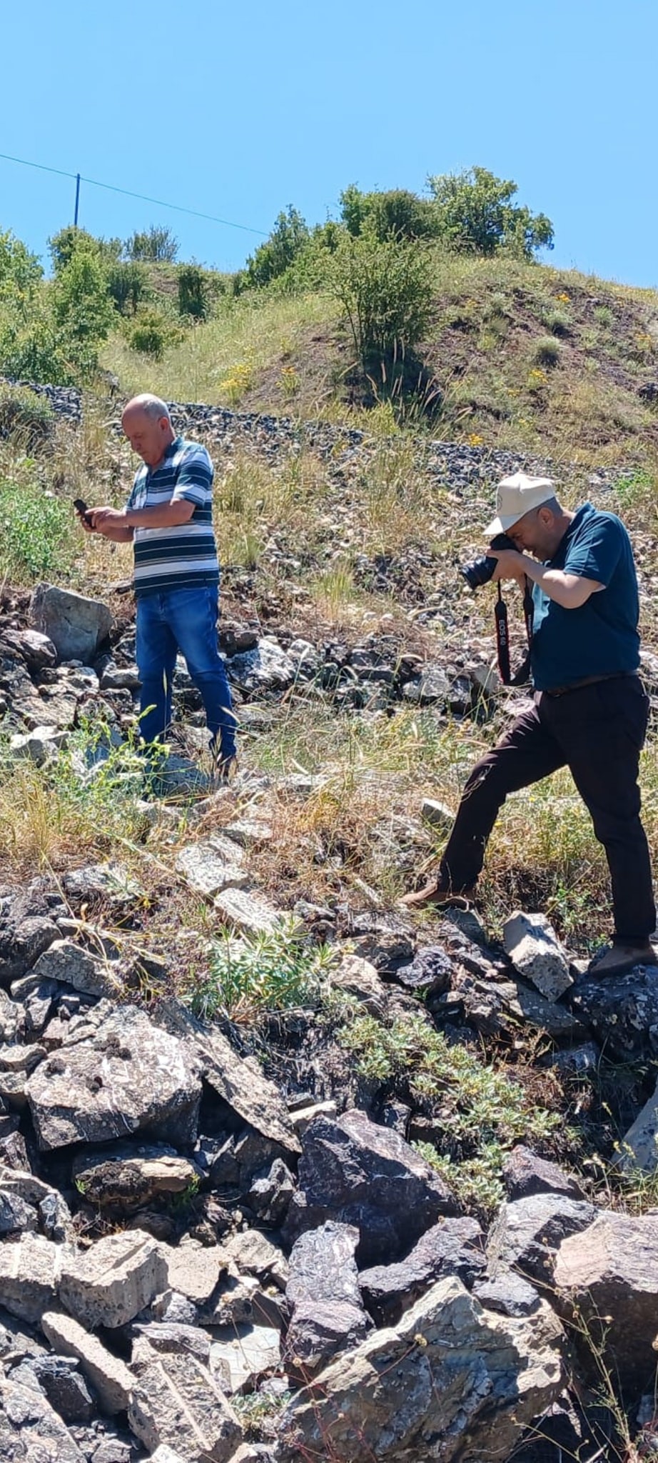 Elazığ’da ada çayı izleme çalışması yapıldı