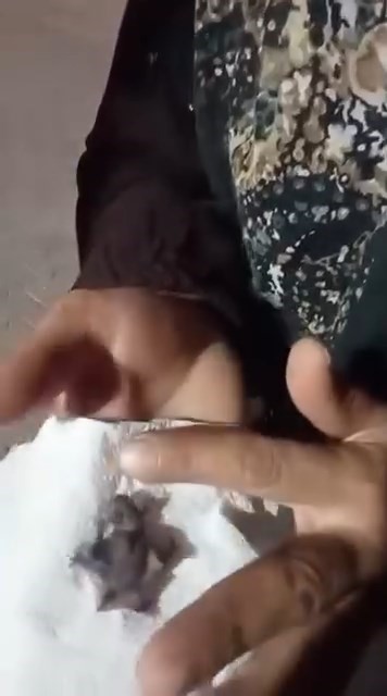 Evinin önünde bulduğu yavru yarasayı ekiplere teslim etti